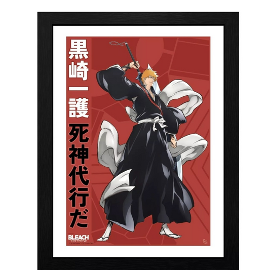 Bleach poster