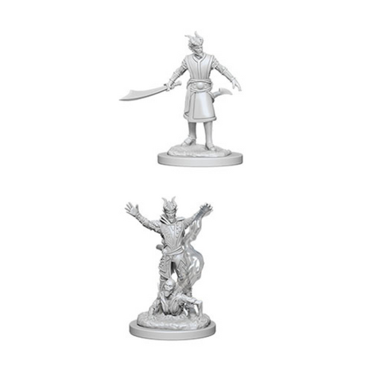 WizKids - D&D Nolzurs Marvelous Miniatures: Male Tiefling Warlock - Wave 6