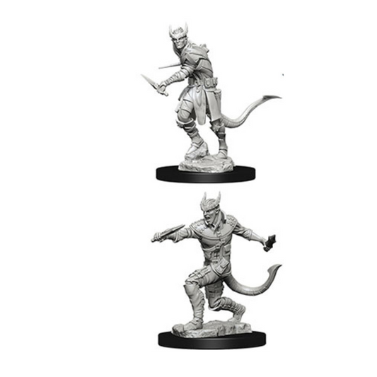 WizKids - D&D Nolzurs Marvelous Miniatures: Tiefling Male Rogue - Wave 5