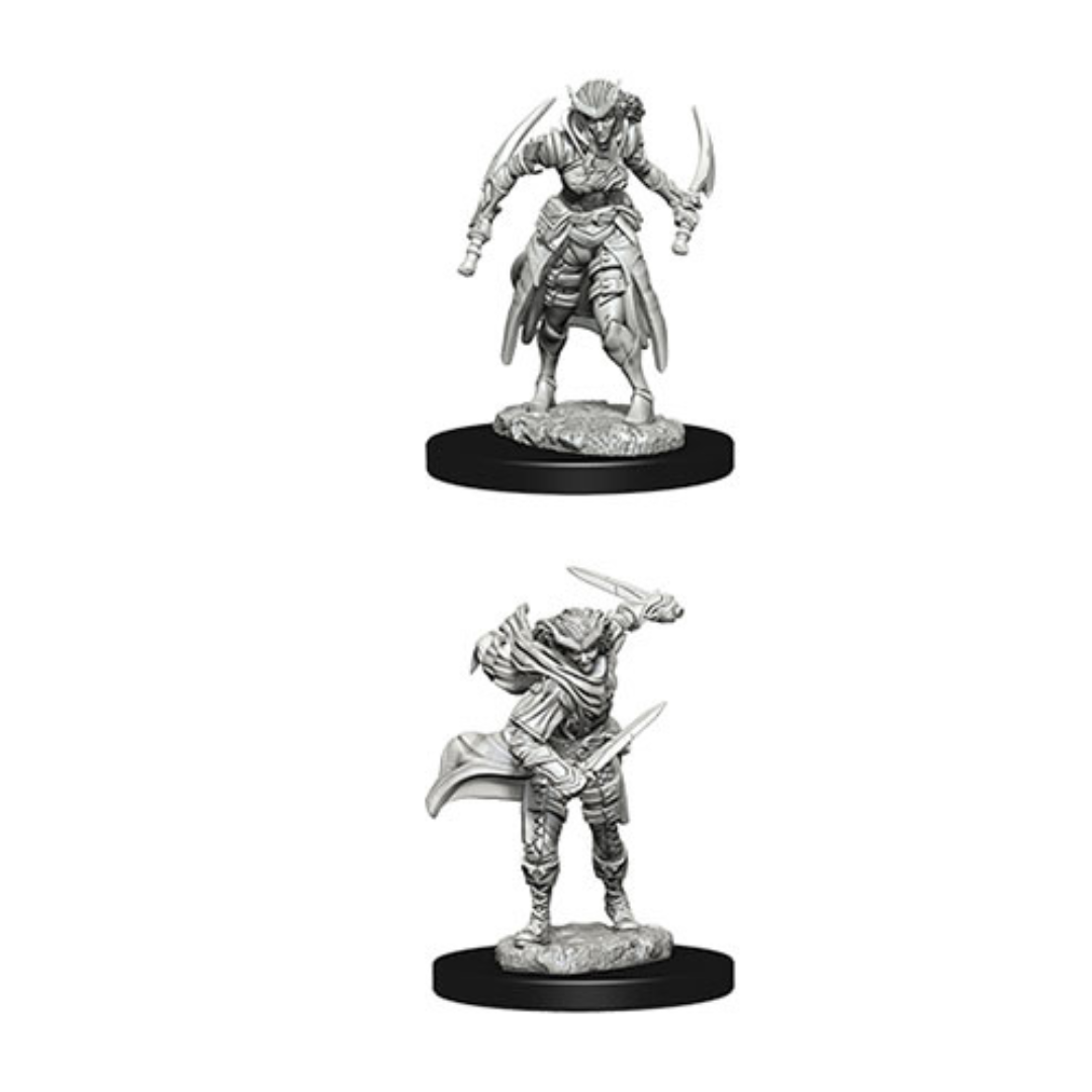 WizKids - D&D Nolzurs Marvelous Miniatures: Tiefling Female Rogue - Wave 7