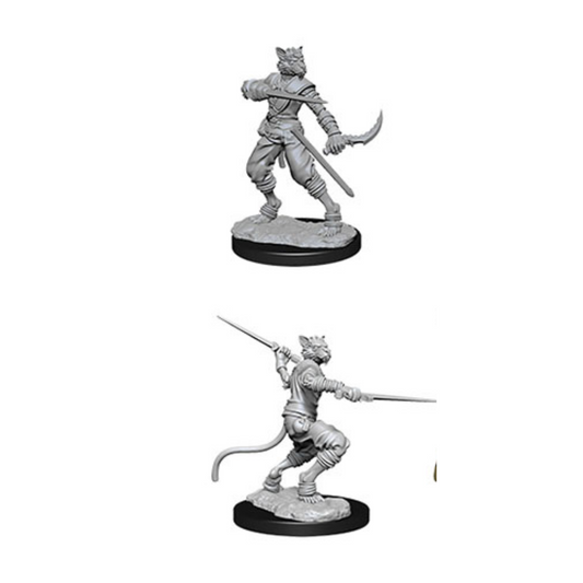 WizKids - D&D Nolzurs Marvelous Miniatures: Male Tabaxi Rogue - Wave 7