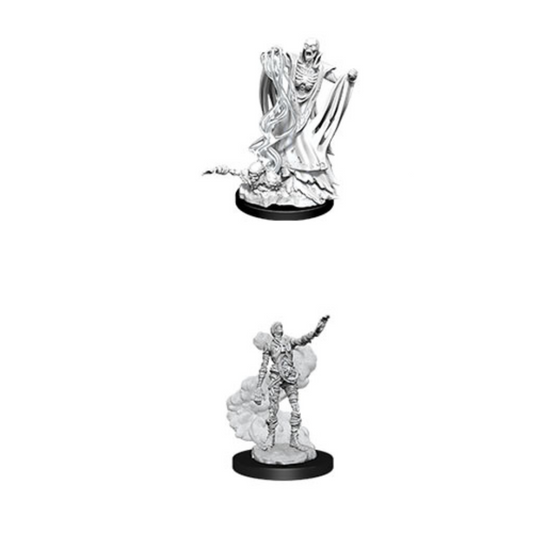 Wizkids - D&D Nolzurs Marvelous Miniatures: Lich & Mummy Lord - Wave 11