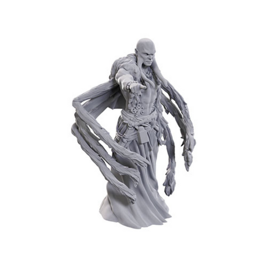 Wizkids - D&D Nolzurs Marvelous Miniatures: Kraken Priest - Wave 24