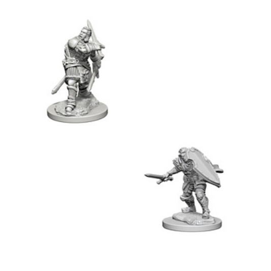 WizKids - D&D Nolzurs Marvelous Miniatures: Human Male Paladin - Wave 3