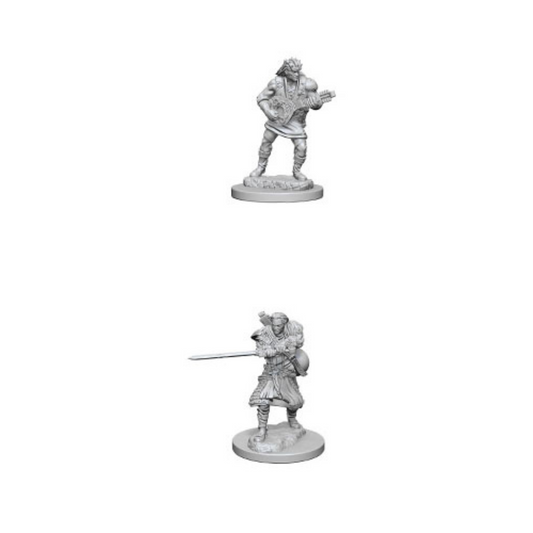 WizKids - D&D Nolzurs Marvelous Miniatures: Human Male Bard - Wave 4