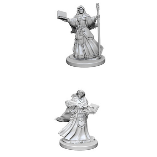 WizKids - D&D Nolzurs Marvelous Miniatures: Human Female Wizard - Wave 1