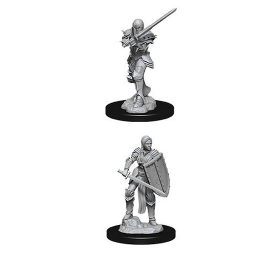 WizKids - D&D Nolzurs Marvelous Miniatures: Female Human Fighter - Wave 9