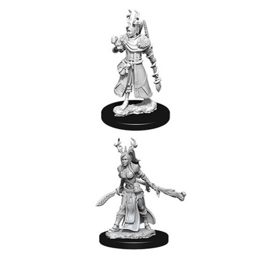 WizKids - D&D Nolzurs Marvelous Miniatures: Female Human Druid - Wave 9