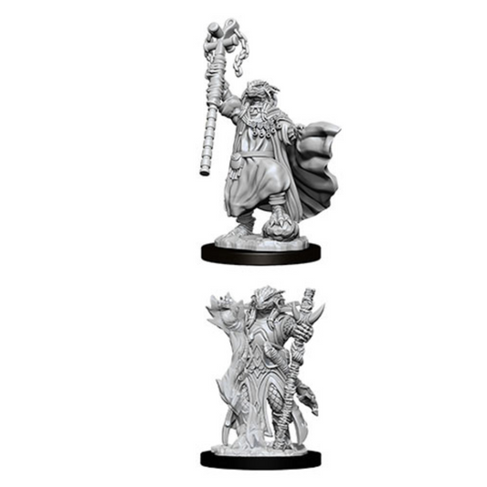 WizKids - D&D Nolzurs Marvelous Miniatures: Female Dragonborn Sorcerer - Wave 8