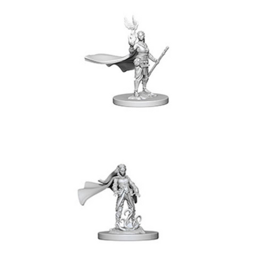 WizKids - D&D Nolzurs Marvelous Miniatures: Elf Female Druid - Wave 4