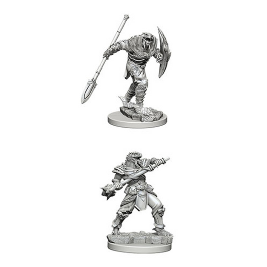 WizKids - D&D Nolzurs Marvelous Miniatures: Dragonborn Male Fighter with Spear - Wave 5