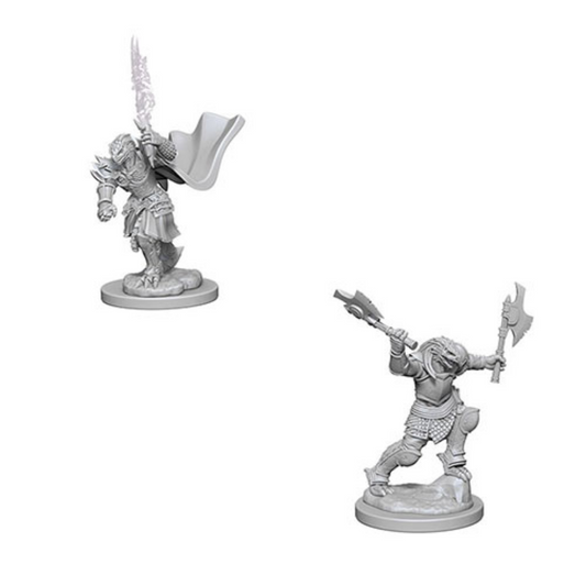 WizKids - D&D Nolzurs Marvelous Miniatures: Dragonborn Female Fighter - Wave 4