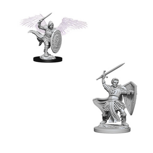 D&D Miniature Aasimar Paladin Male