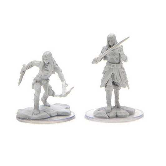 WizKids - D&D Nolzurs Marvelous Miniatures: Half-Elf Rogue Female - Wave 17