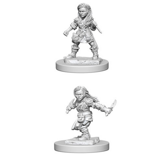 WizKids - D&D Nolzurs Marvelous Miniatures: Halfling Female Rogue Wave 1