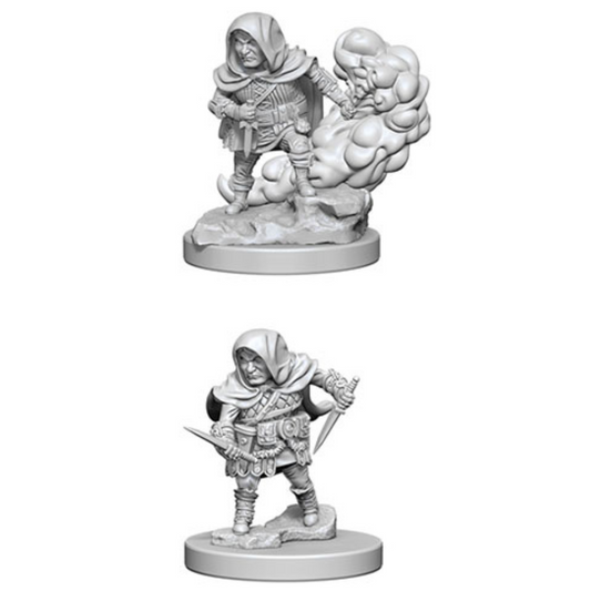 WizKids - D&D Nolzurs Marvelous Miniatures: Halfling Male Rogue - Wave 1