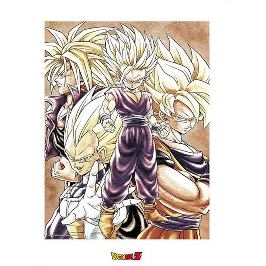 Dragon Ball Z Poster