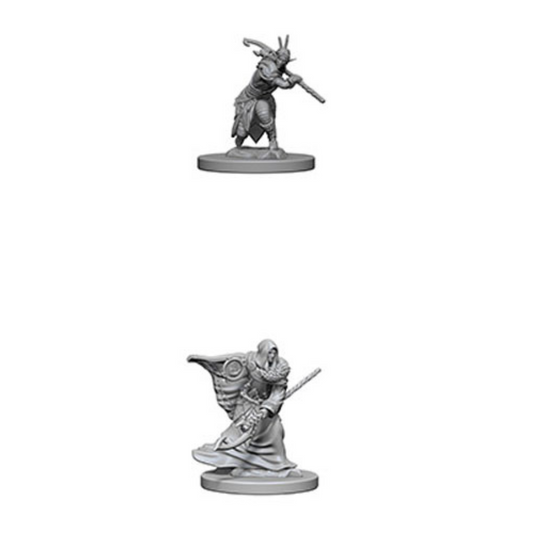 WizKids - D&D Nolzurs Marvelous Miniatures: Elf Male Druid - Wave 4