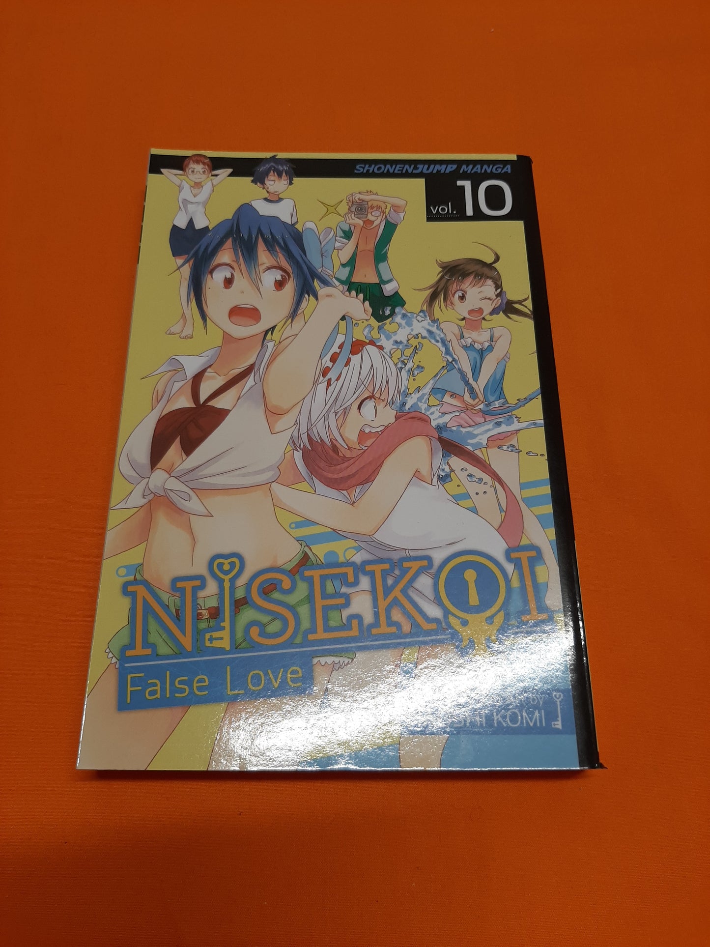 Nisekoi False Love (Volume 10)