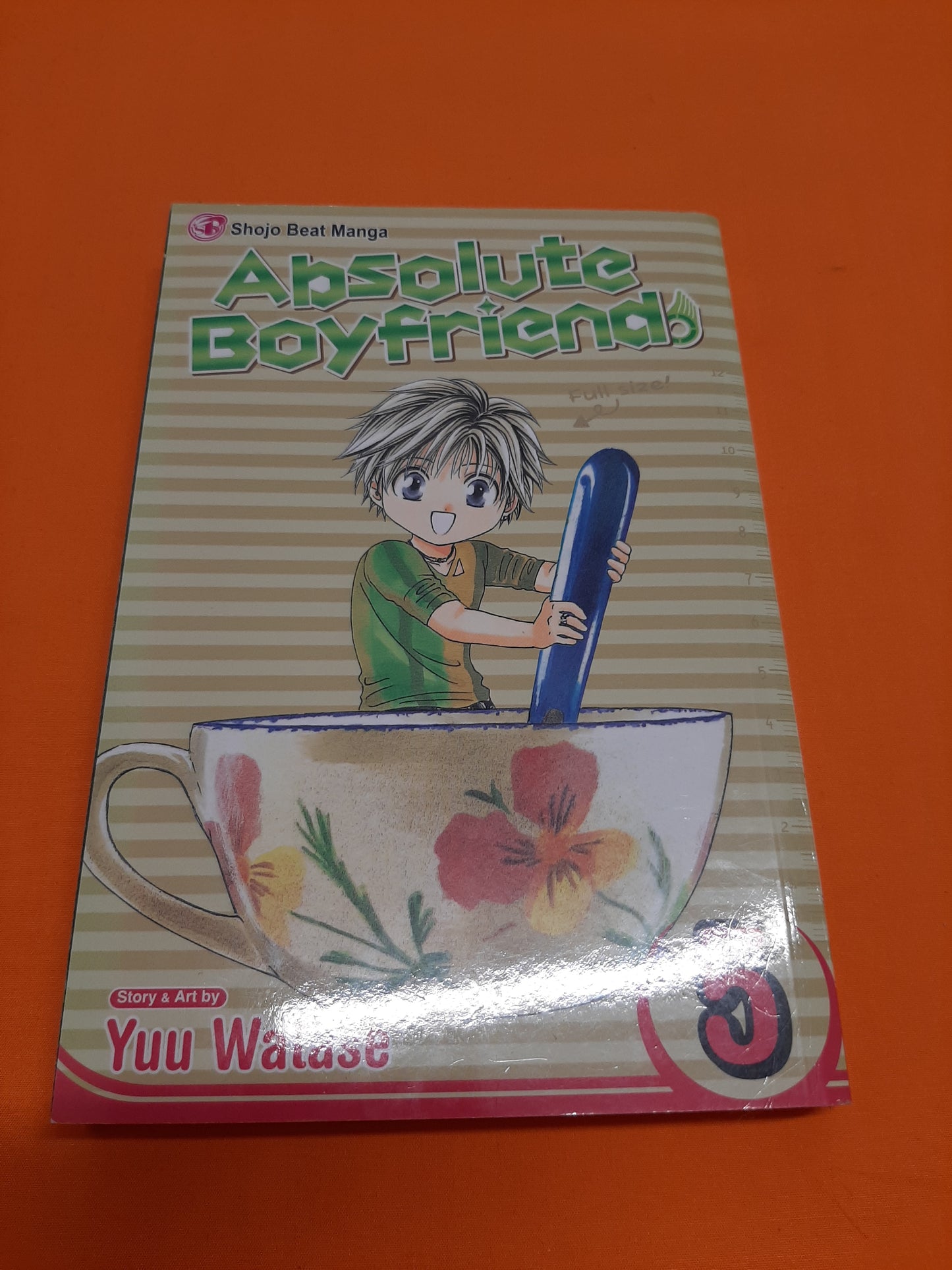 Absolute Boyfriend (Volume 5)