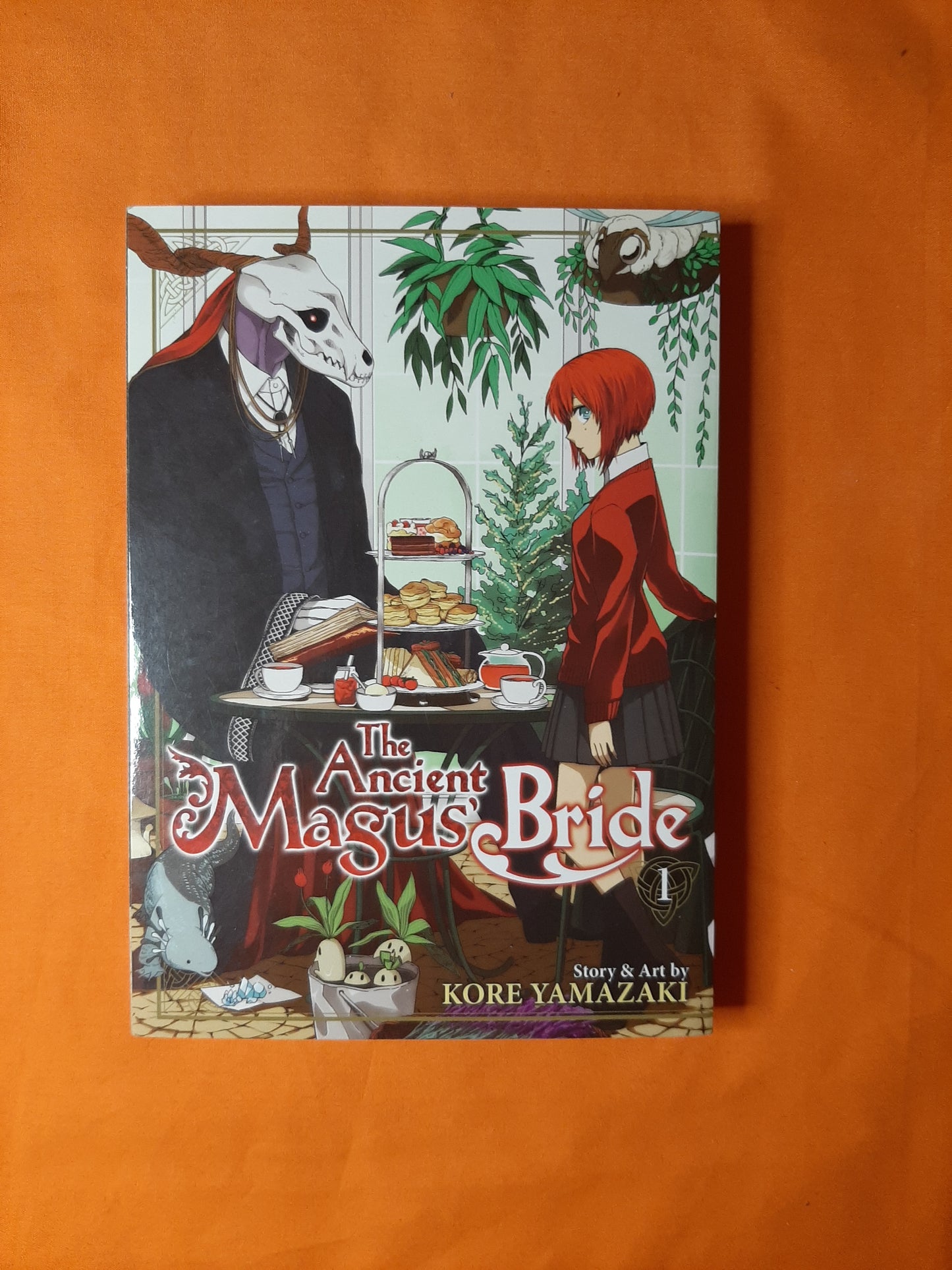 The Ancient Magus' Bride (Volume 1)