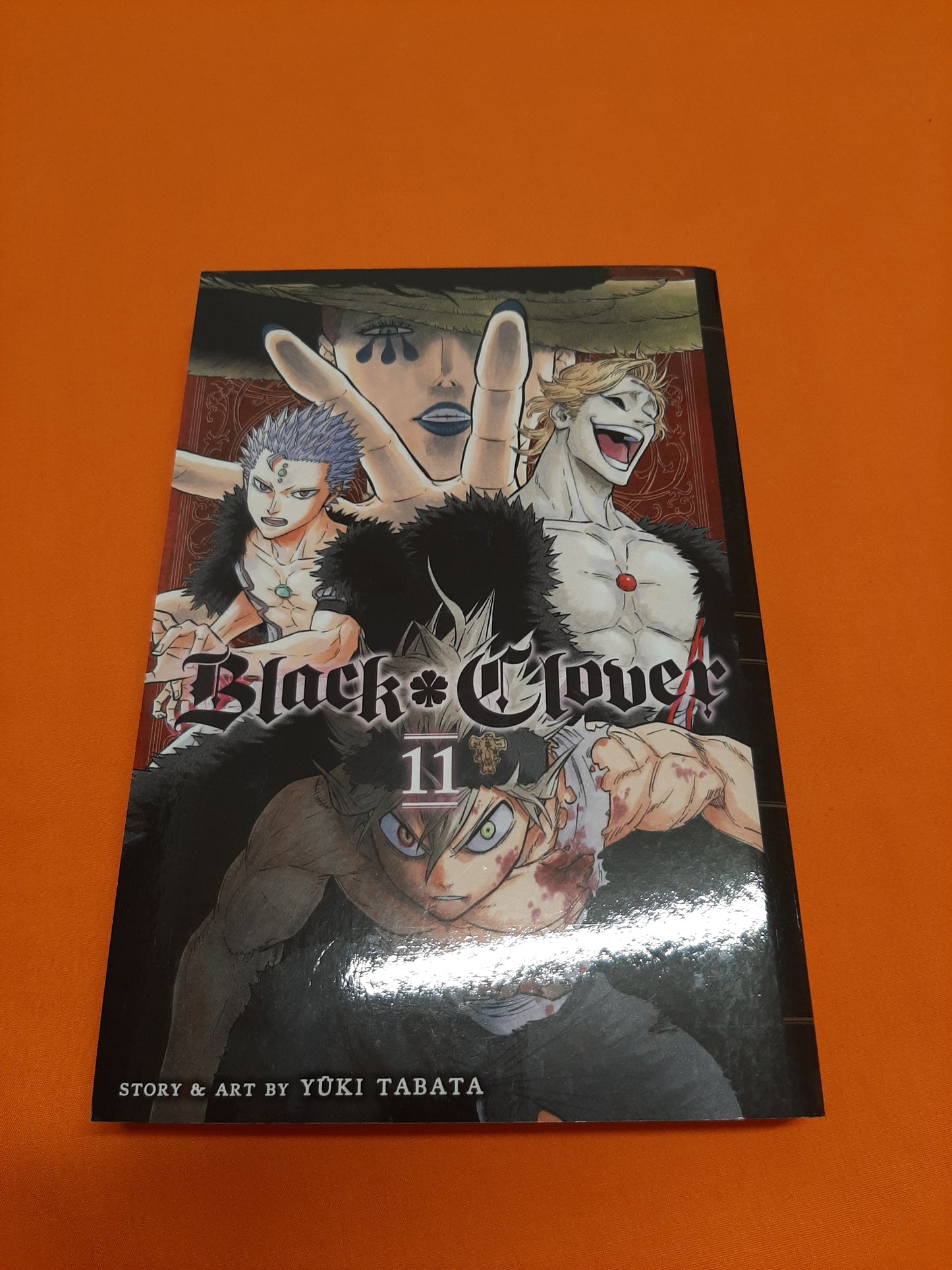 Black Clover (Volume 11)